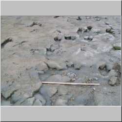 100_0660 (2009-27-07).JPG